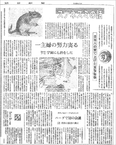 1973年になって紹介されたスナネズミの歴史（朝日新聞5月11日朝刊）
