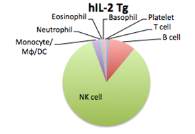 HSC移入後に分化するヒト細胞分画